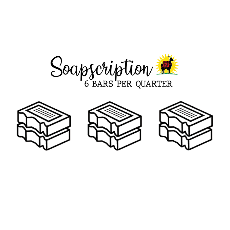 Soapscriptions: 6 bars/quarter-Assorted Scents-Quarterly Shipment-4oz Bars