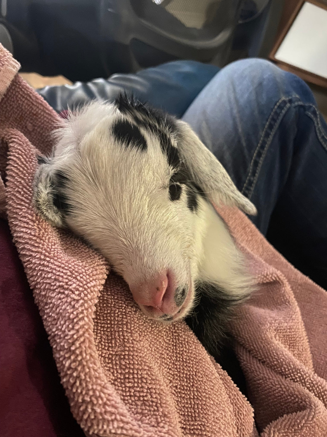 When the Farm Gets Personal