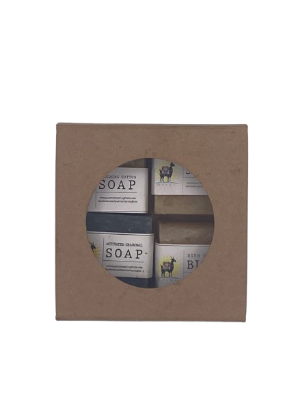 Mini Bar Camping Box Set-Mini Shampoo-Mini Activated Charcoal-Mini Dish Bar-Mini Goat Milk Soap-Camping-Travel